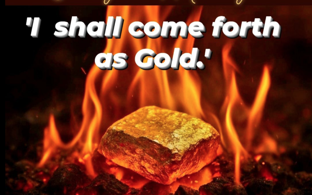'I shall come forth as Gold.' Image